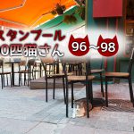 イスタンブール新市街のカフェにいた大きな猫たち