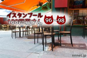 イスタンブール新市街のカフェにいた大きな猫たち