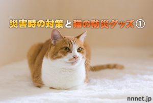 【愛猫を守る】災害時の対策と猫の防災グッズ①