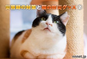 【愛猫を守る】災害時の対策と猫の防災グッズ②