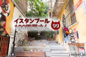 フレンドリーな黒白猫さん【連載】イスタンブールの100匹猫さん 99匹目