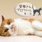 第1回 チャチャ・茶白猫・女の子