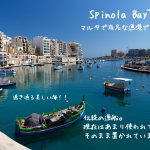 マルタ島・猫保護エリアCatVillage(キャットビレッジ)の三毛猫