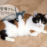 第2回 みけみけ・三毛猫・女の子