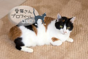 第２回 みけみけ・三毛猫・女の子