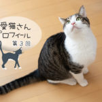 第3回 ポコ・キジ白・男の子