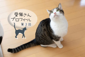 第３回 ポコ・キジ白・男の子