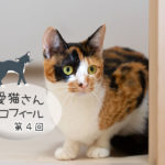 第４回 まお・三毛猫・女の子