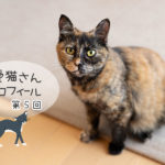 第5回 チョコ・サビ猫・女の子
