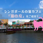 シンガポールの猫カフェ「猫の庭」に行ってきました!