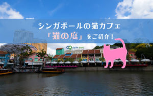 シンガポールの猫カフェ「猫の庭」に行ってきました！