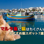 地中海の猫島「マルタ島」に猫はたくさんいるの?猫スポット7選!