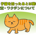 野良猫・子猫を拾ったあとは動物病院へ!駆虫・検査・ワクチンについて
