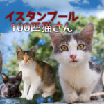 連載「イスタンブール100匹猫さん」まとめ