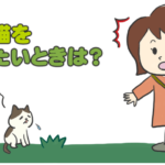 野良猫を拾いたいときは?野良猫の保護の仕方