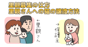里親募集の仕方・里親さんへの猫の譲渡方法