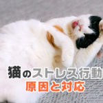 猫のストレス行動・原因と対応について