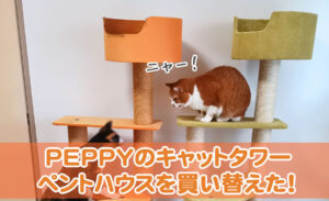 ペピィ　キャットタワー　ニューペントハウスII （ライトグリーン） 楽天市場】キャットタワー ニューペントハウス2 グリーン