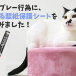 猫のスプレー行為に、はがせる壁紙保護シートを使ってみました!対策あり。