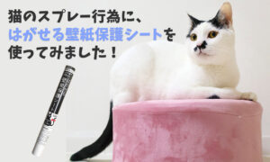 猫のスプレー行為に、はがせる壁紙保護シートを使ってみました！対策あり。