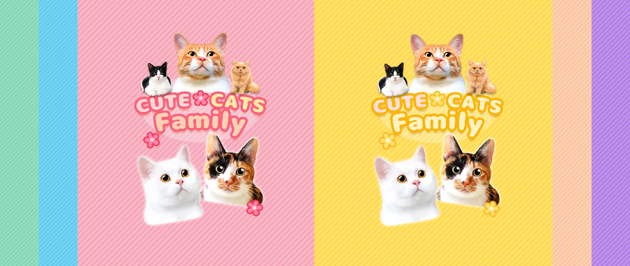 猫のLINE着せかえ「CUTE CAT Family」６色販売中！