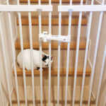 のぼれんニャン バリアフリー3を設置してみました!設置画像あり