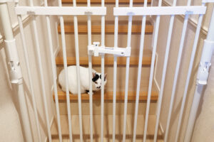 のぼれんニャン バリアフリー3を設置してみました!設置画像あり